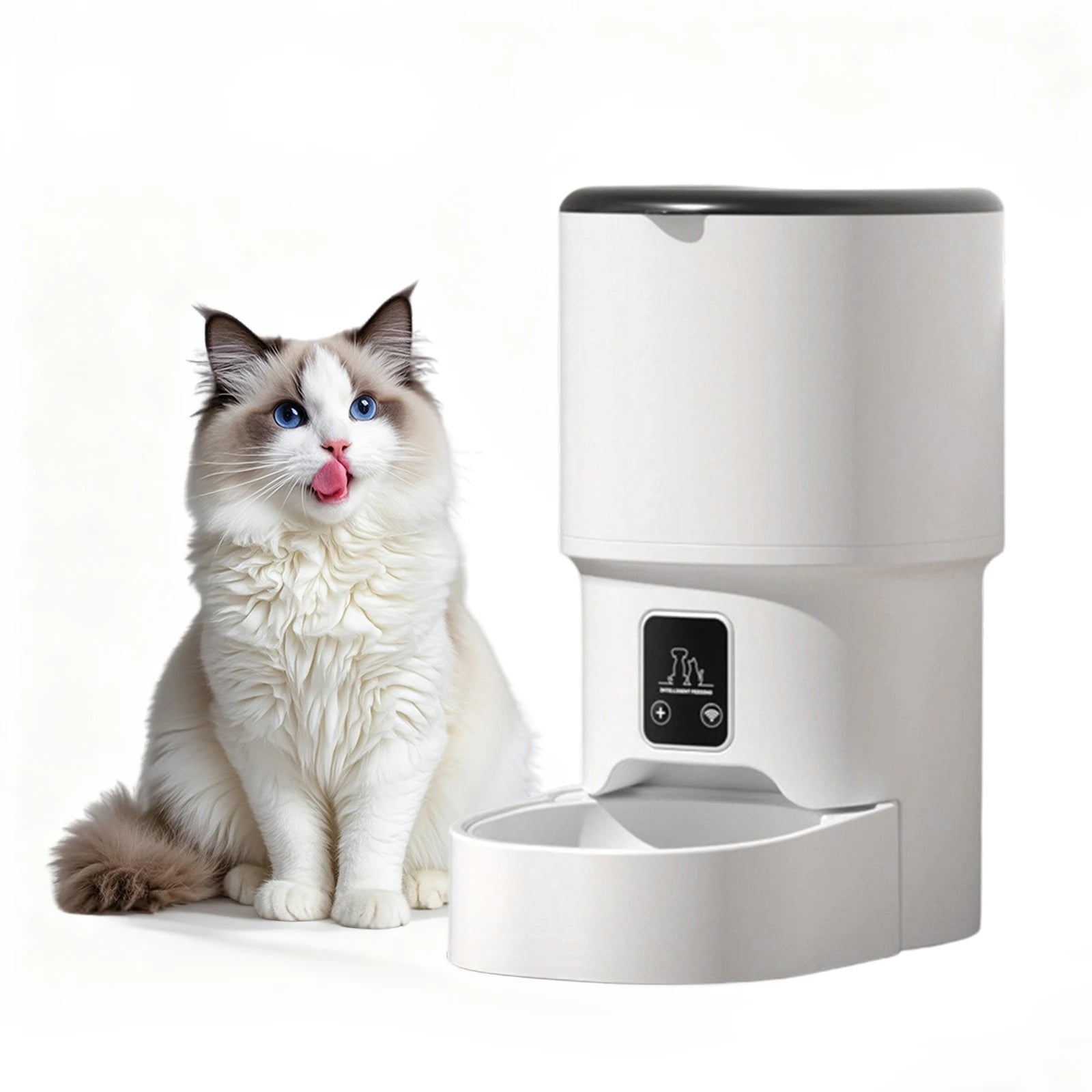 4L Automatic Cat Feeder with Timer Up to 6 Meals Per Day,Portion Control,Button Control for Cats & Small Dogs Pet Products